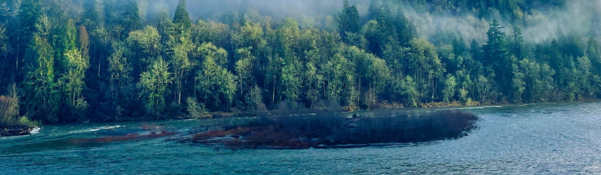 Gresham, OR River View