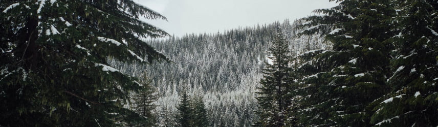 Forested hills near Hillsboro, OR