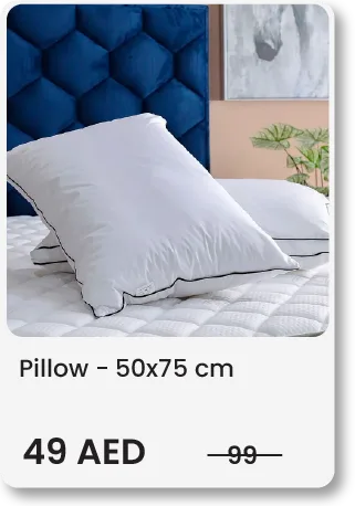 SS24-MegaDeals-Pillow2