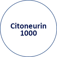 Citoneurin 1000