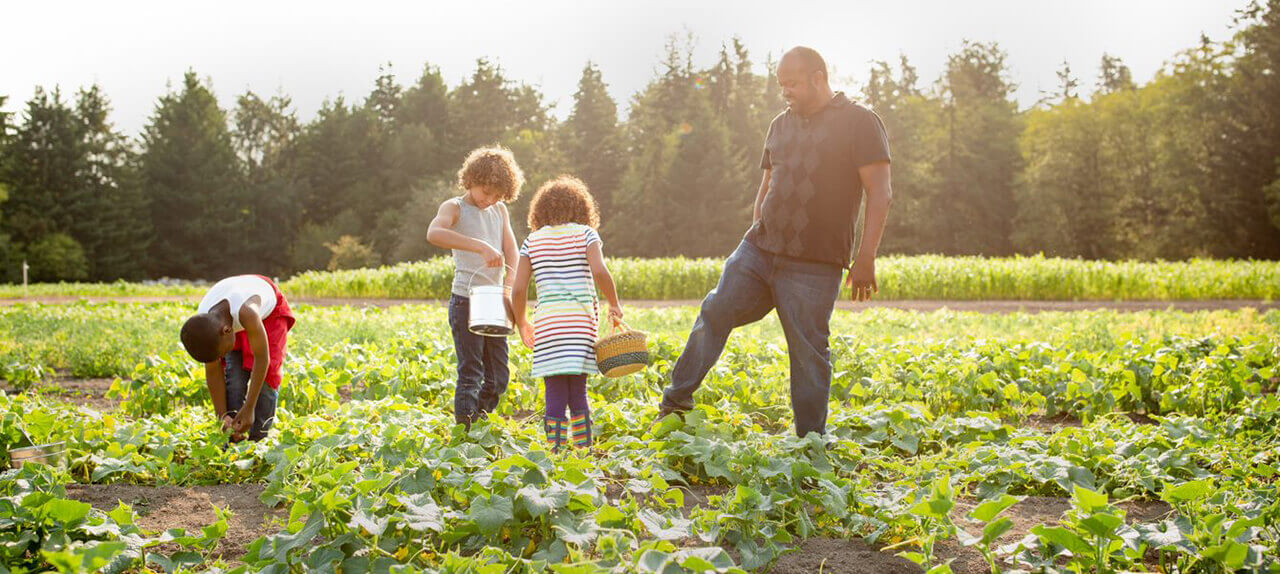 Family out in the nature