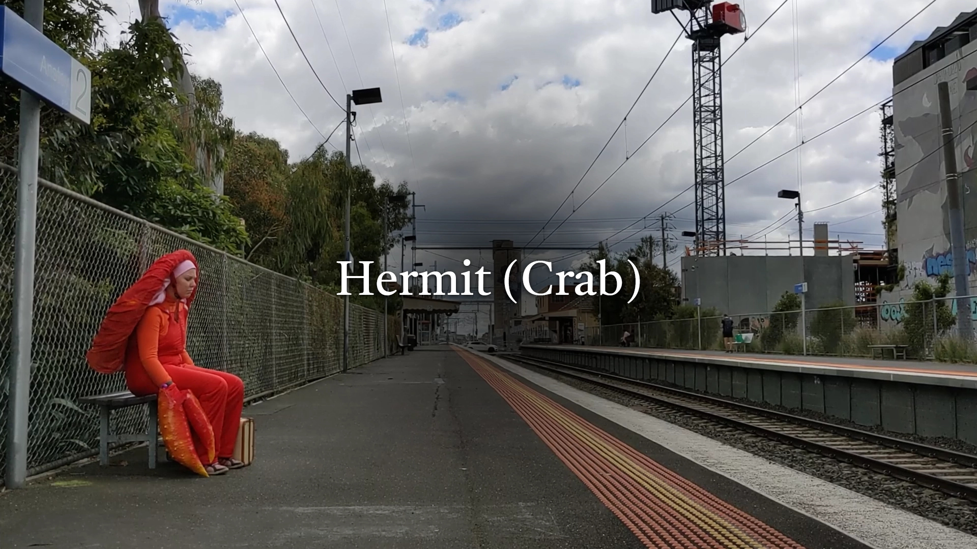 Hermit (Crab)
