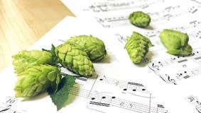 Hops-a-chords: Tuning Aroma with Thiols 