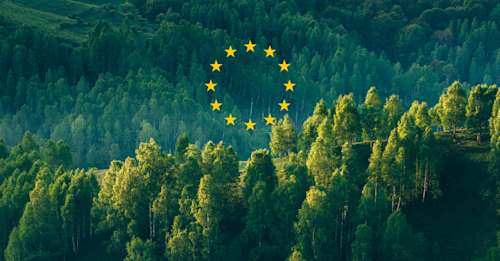 EU Deforestation Regulation (EUDR) Quick Guide for Companies – Updated Feb 2026