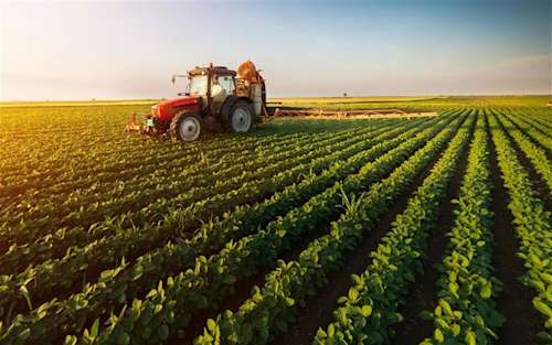 Our Solutions for the Agricultural Sector