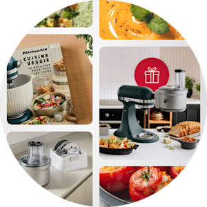 pdp-promo-banner mixer-with-free-food-pro-attachment-fr