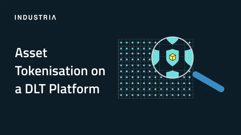 A cover image for the article "Asset Tokenisation on a DLT Platform"