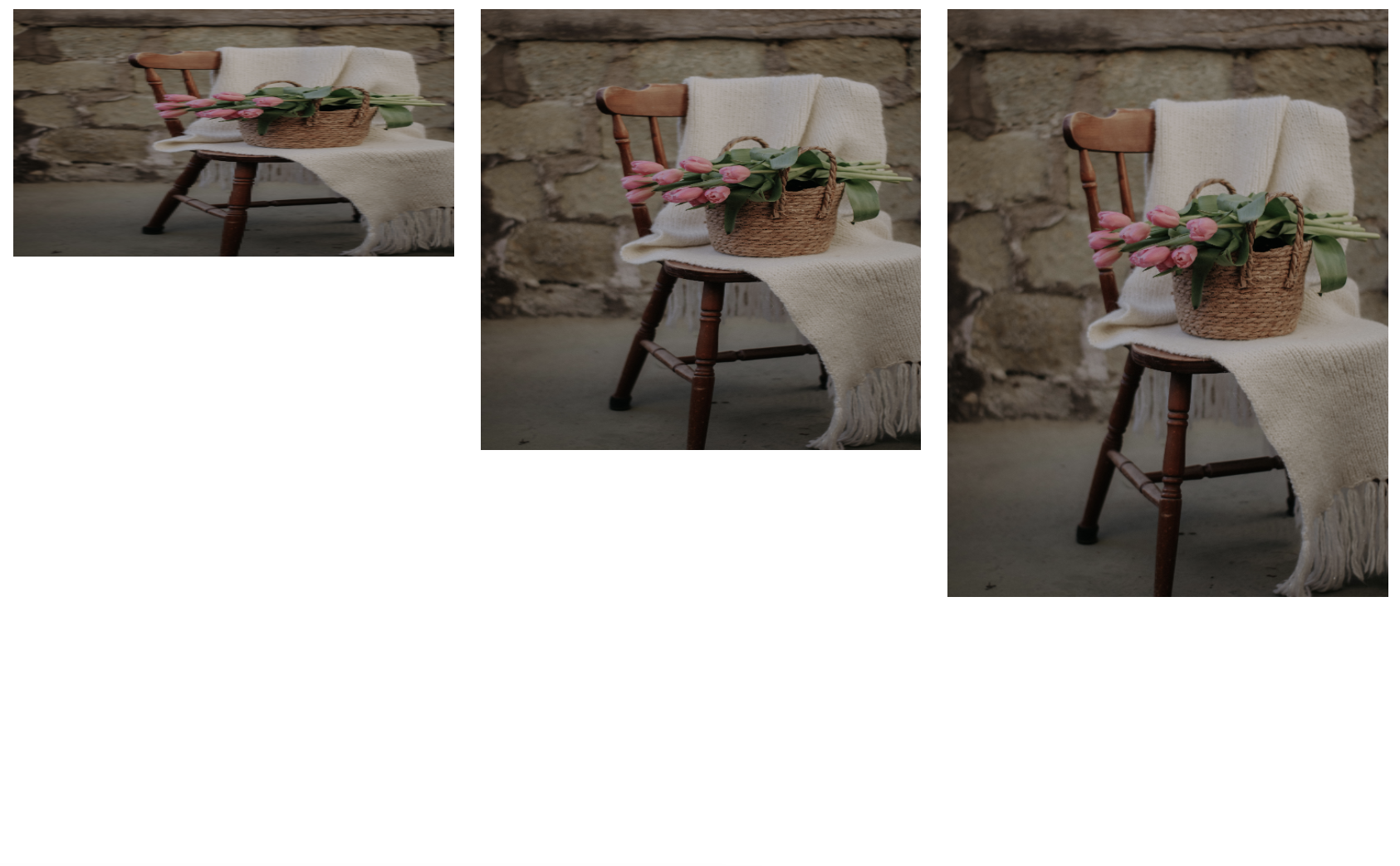 Three identical images side by side, rendered with varying aspect ratios. Each image is distorted in some way.