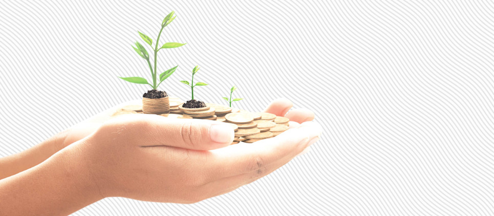 Two hands containing stacks of coins with small amounts of dirt and green plants sprouting out.