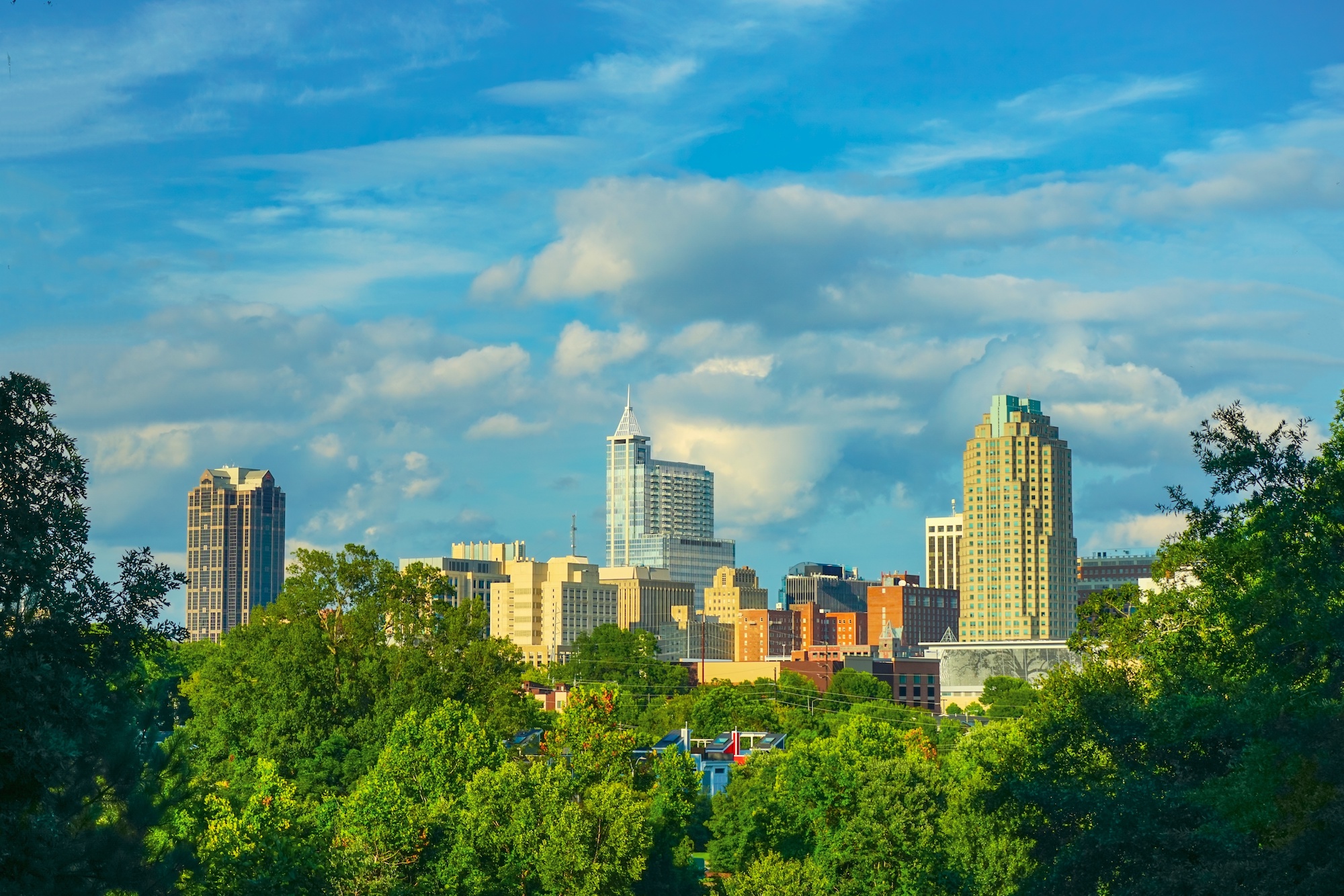 Skyscape of Raleigh, North Carolina.