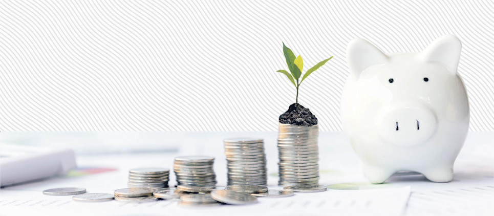 Piggy bank sits next to stacks of coins, one has a bit of dirt and plant sprouting out of it.