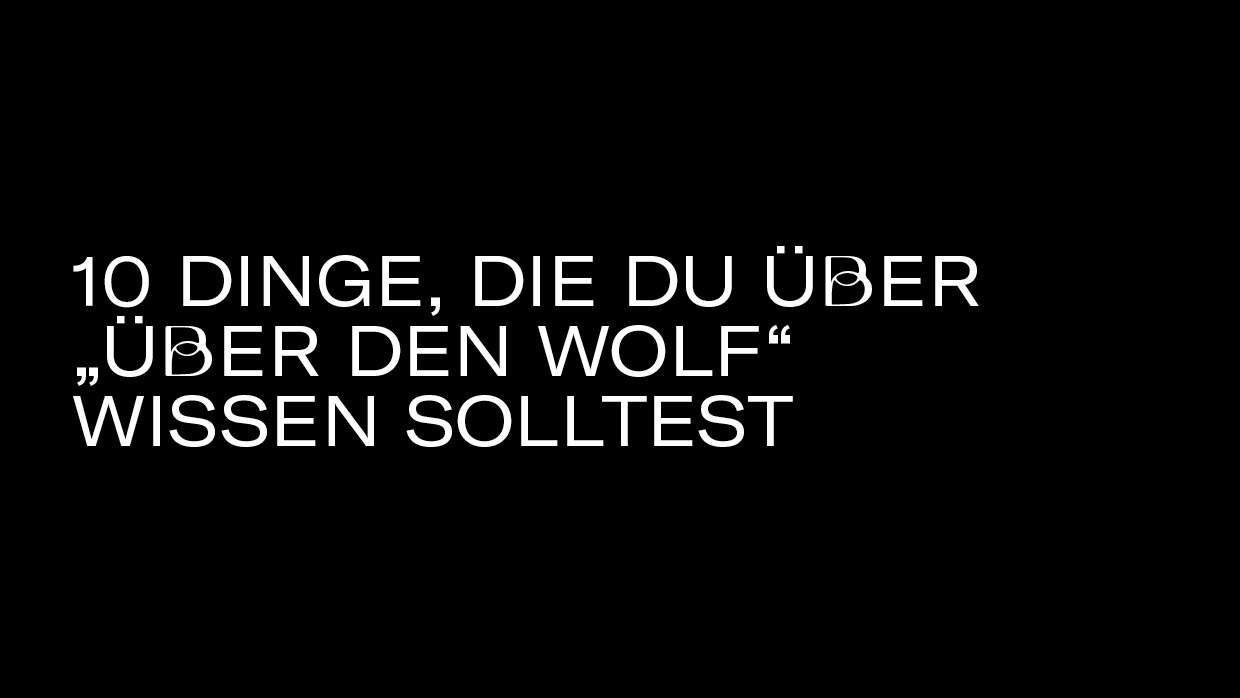10 Dinge Wolf3