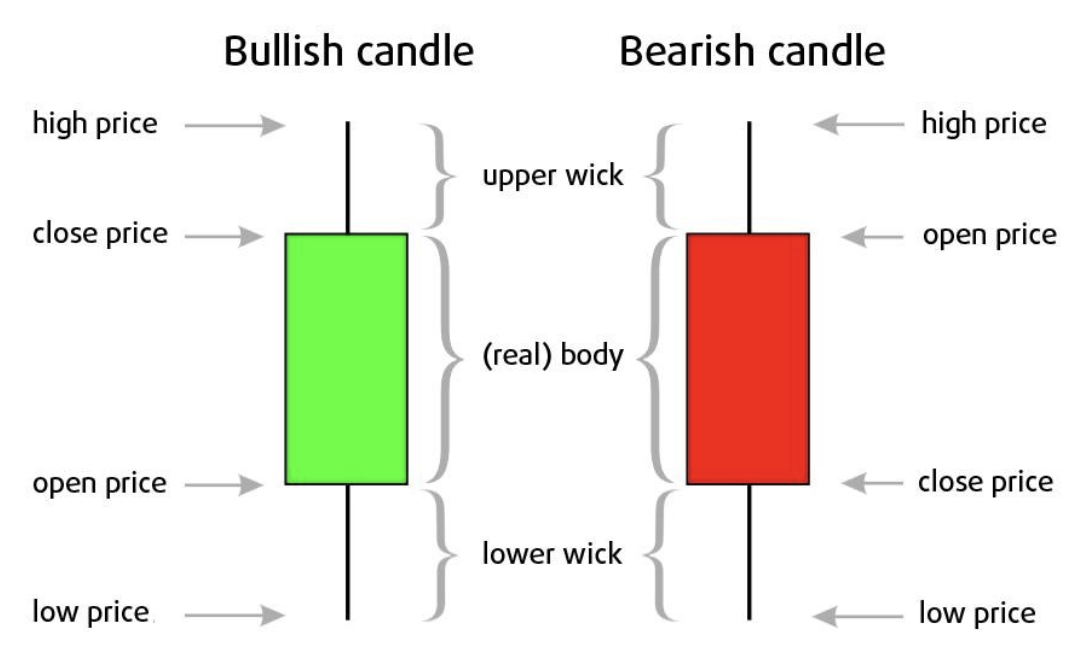 Screenshot 2026-02-04 at 4.45.16 PM.png