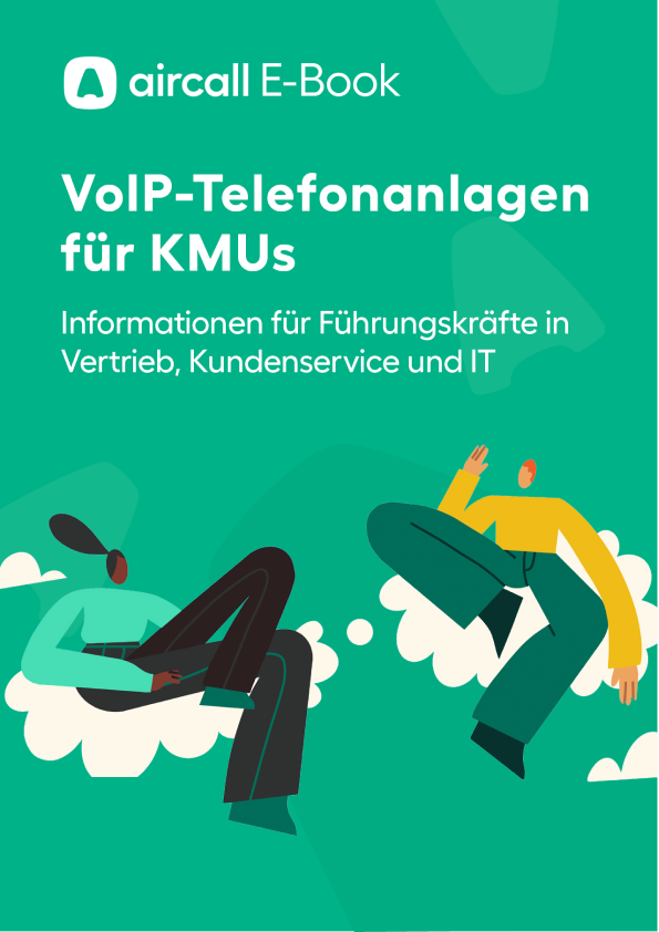 595x842-VoIP Pghone System-DE