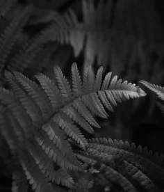 Sustainibility 01