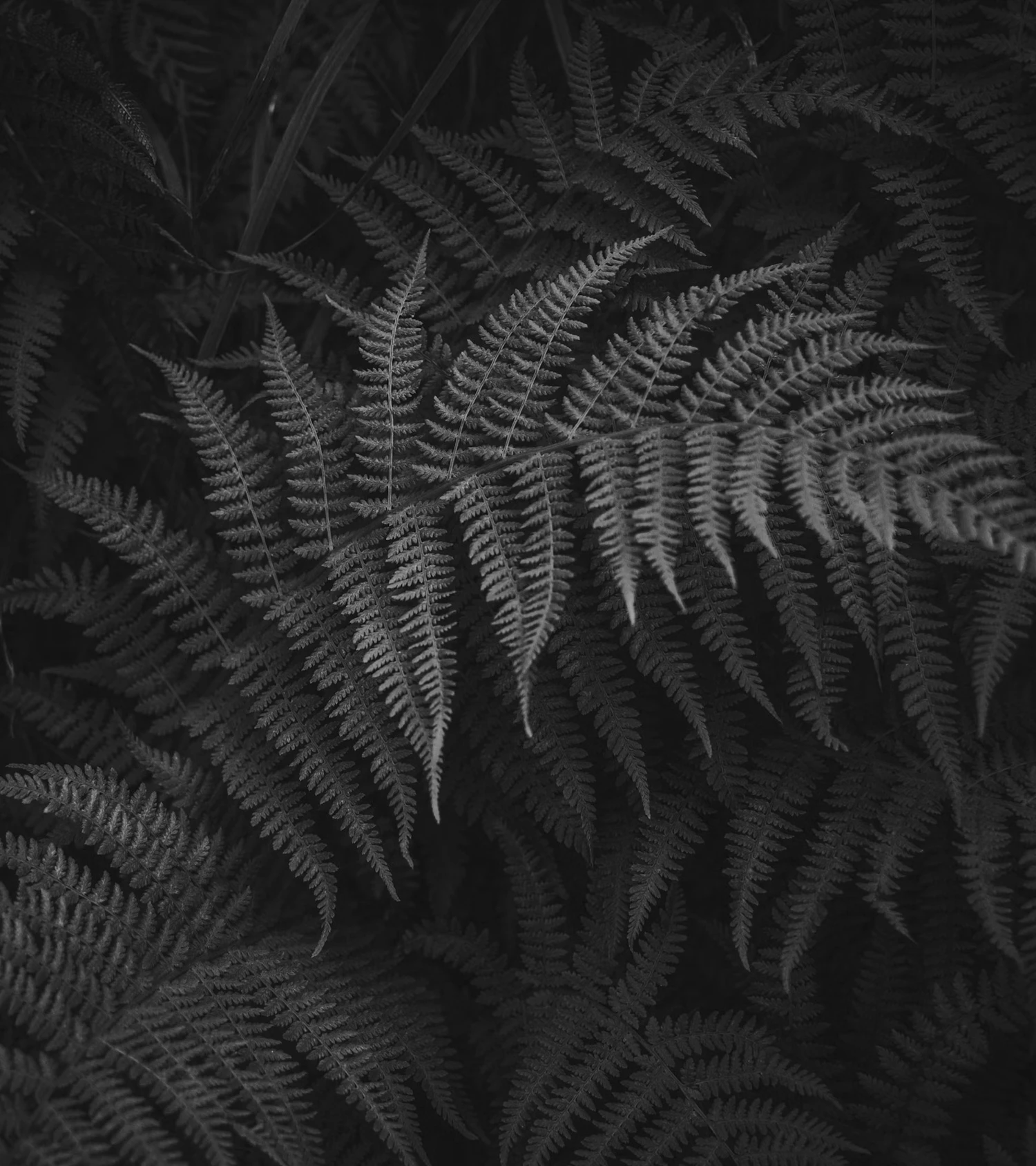 Sustainibility-01-Big