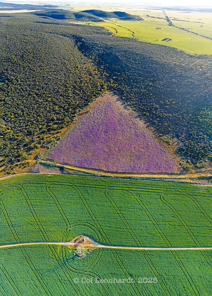 Cover Image for Aerial Photography Western Australia