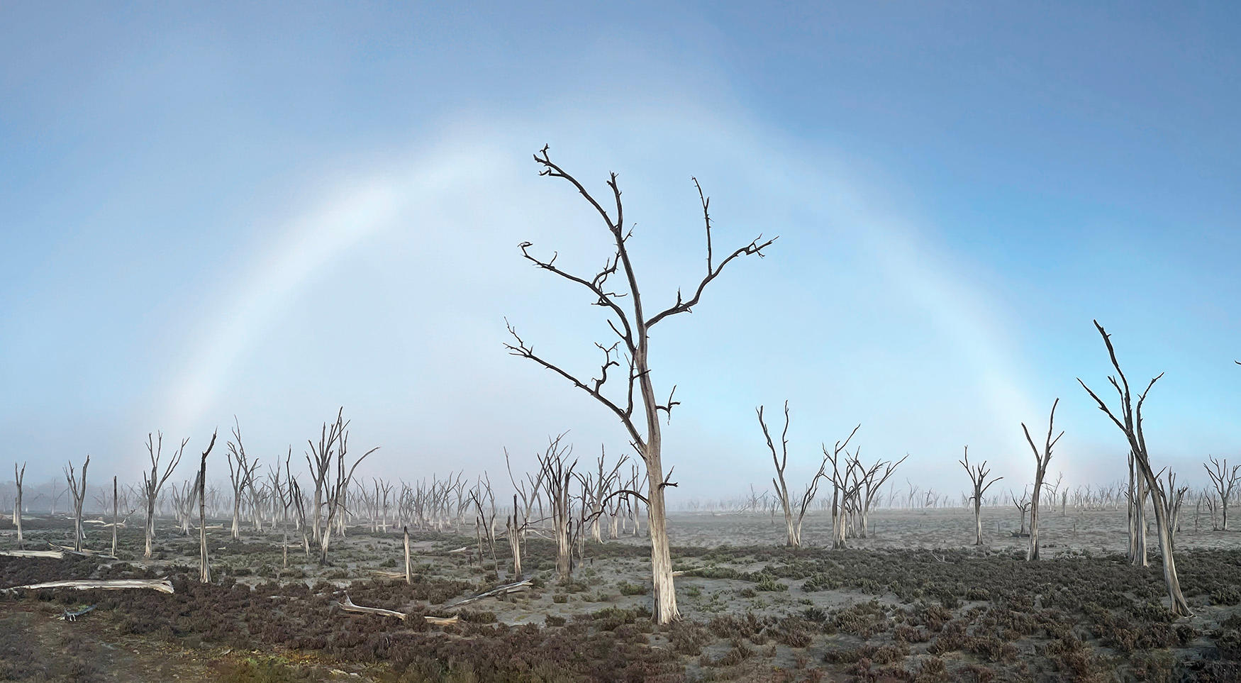 Cover Image for Lake Dumbleyung Fog Bow