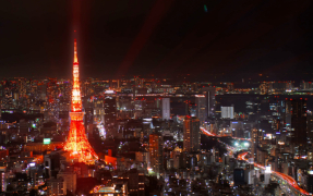 Tokyo tower at night gearing up for the 2019 rugby world cup