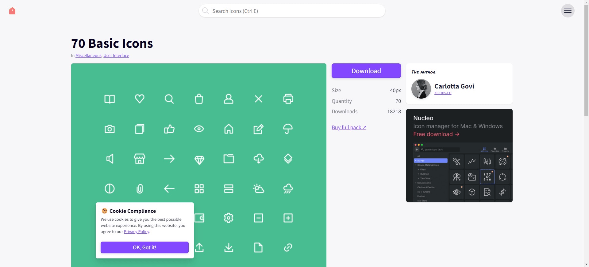 70 Basics Icons Landing Page