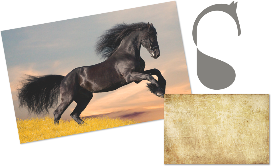 Step 1 Wild Horses