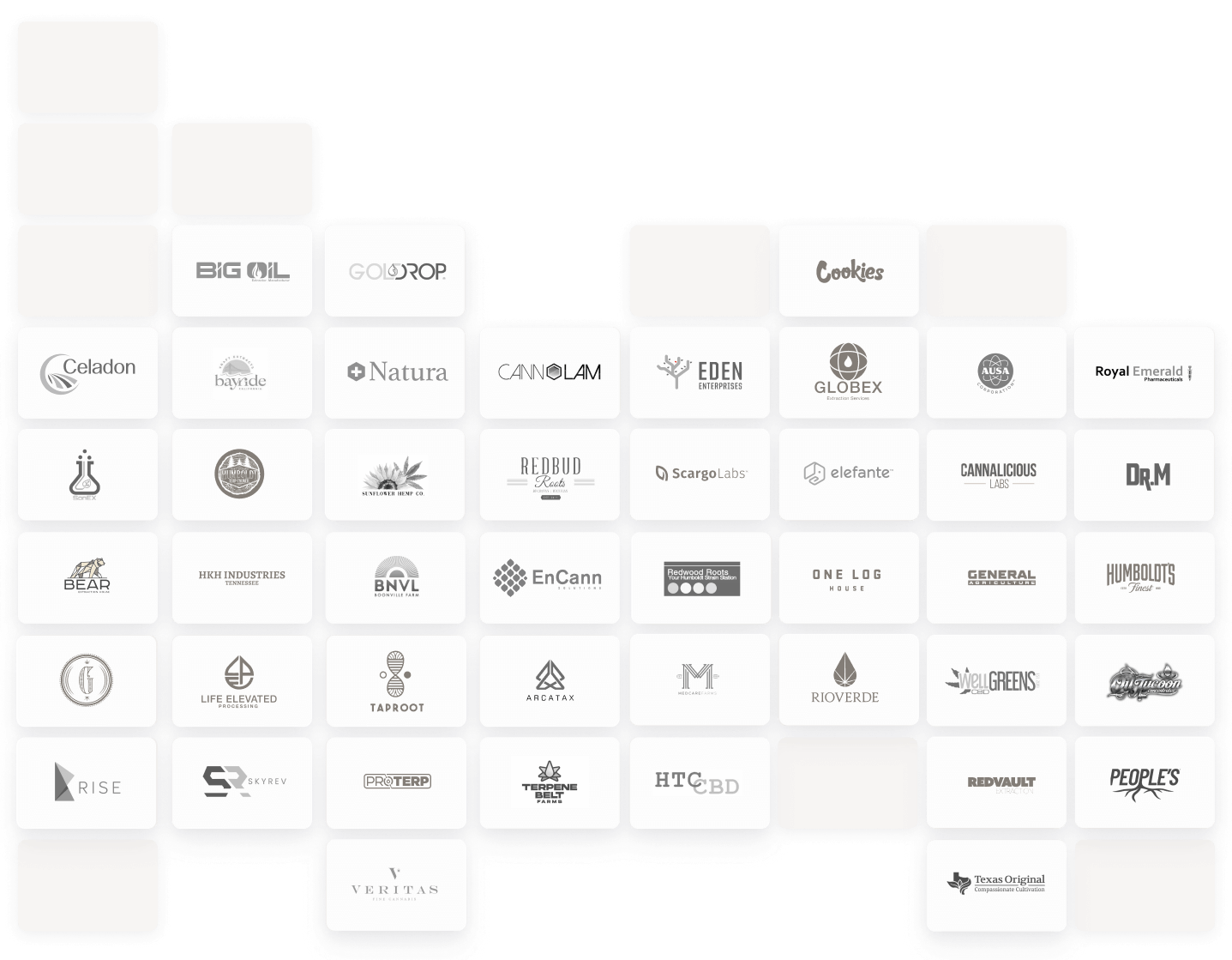 backbone image