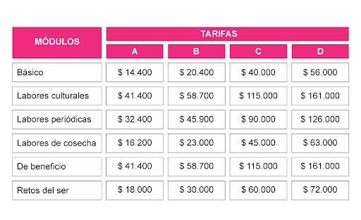 Imagen ¿Qué puedo aprender en el Centro de destrezas de Banano y Plátano?