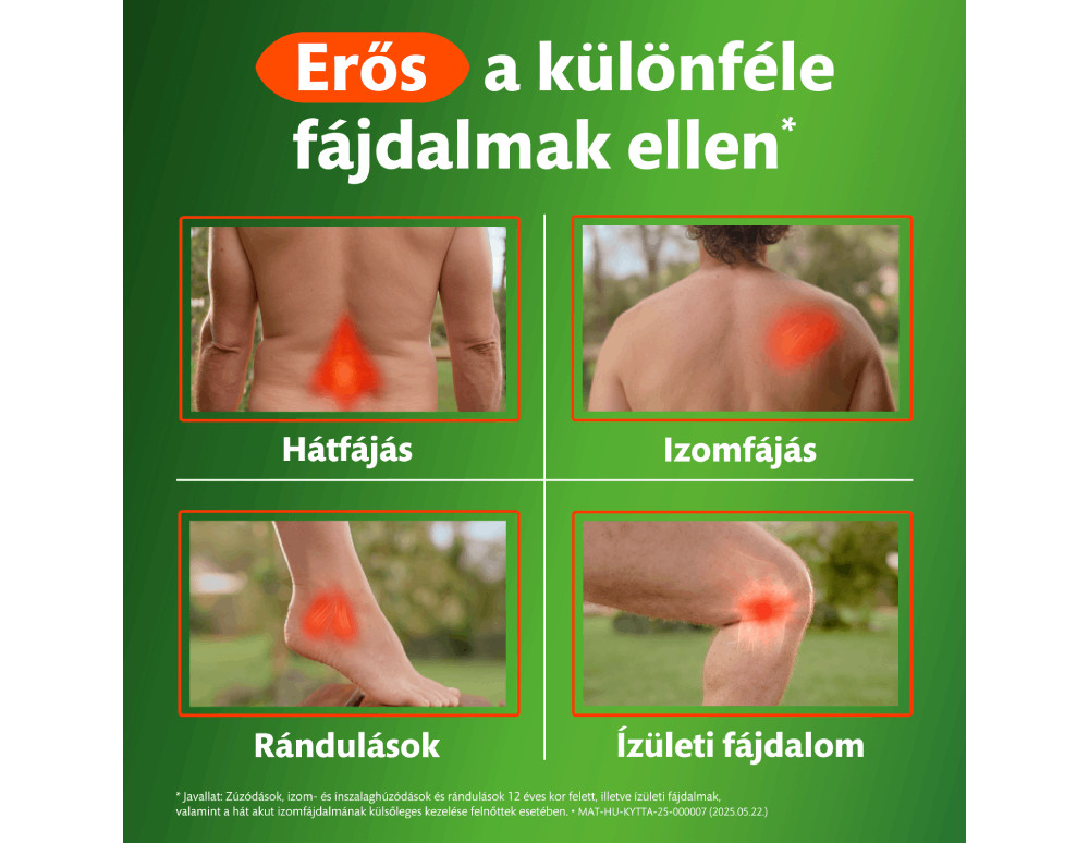 Hátizom, bokaizület, térdizület