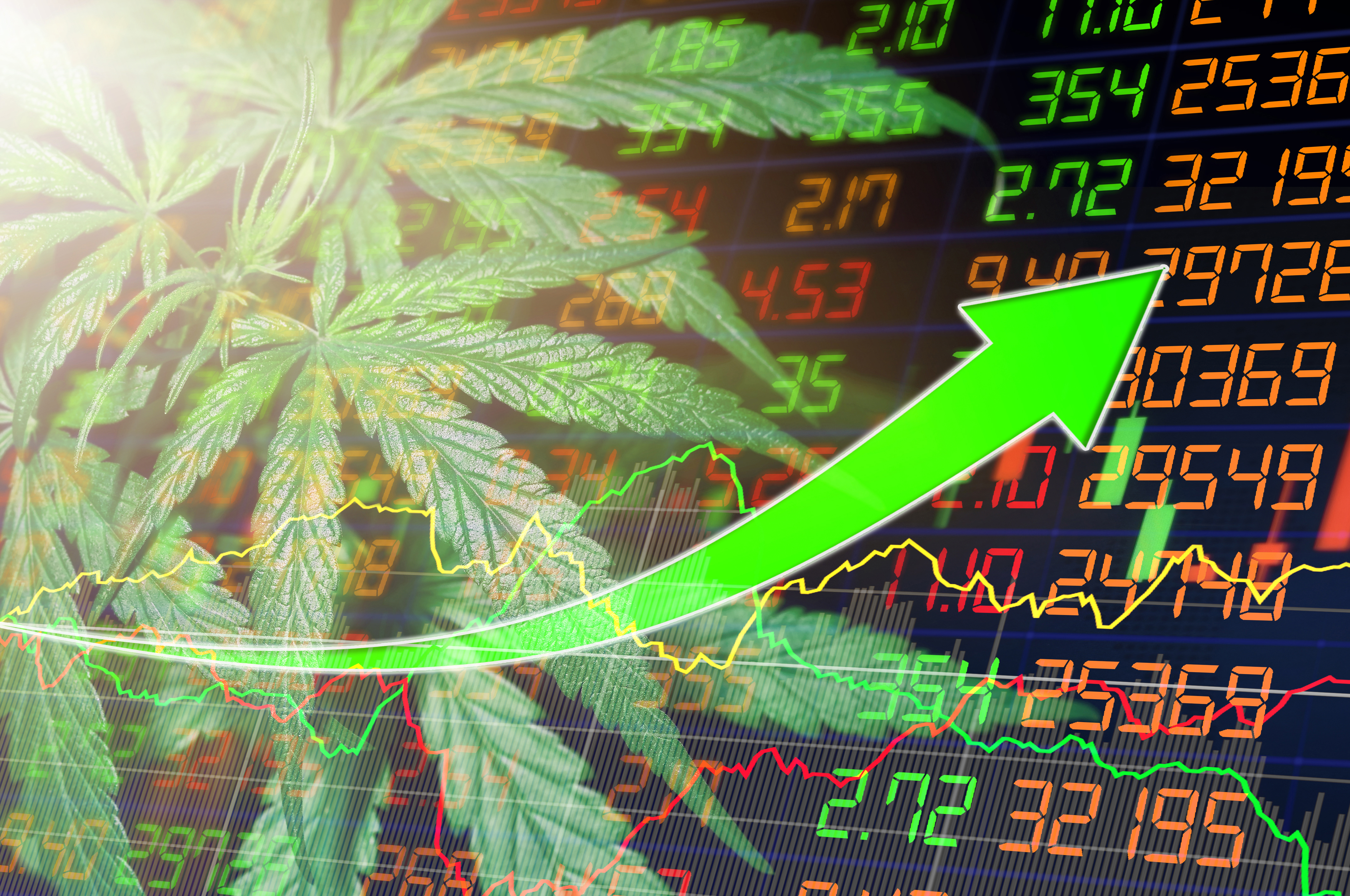 A Big Year Ahead for Cannabis