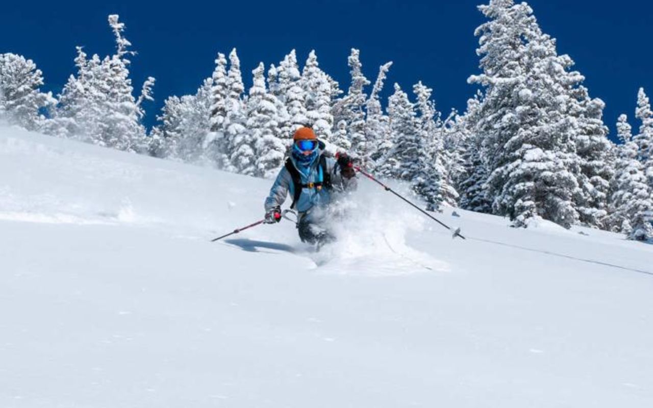 Alta Ski Area | Photo Gallery | 1 - Skier moving down ski slope