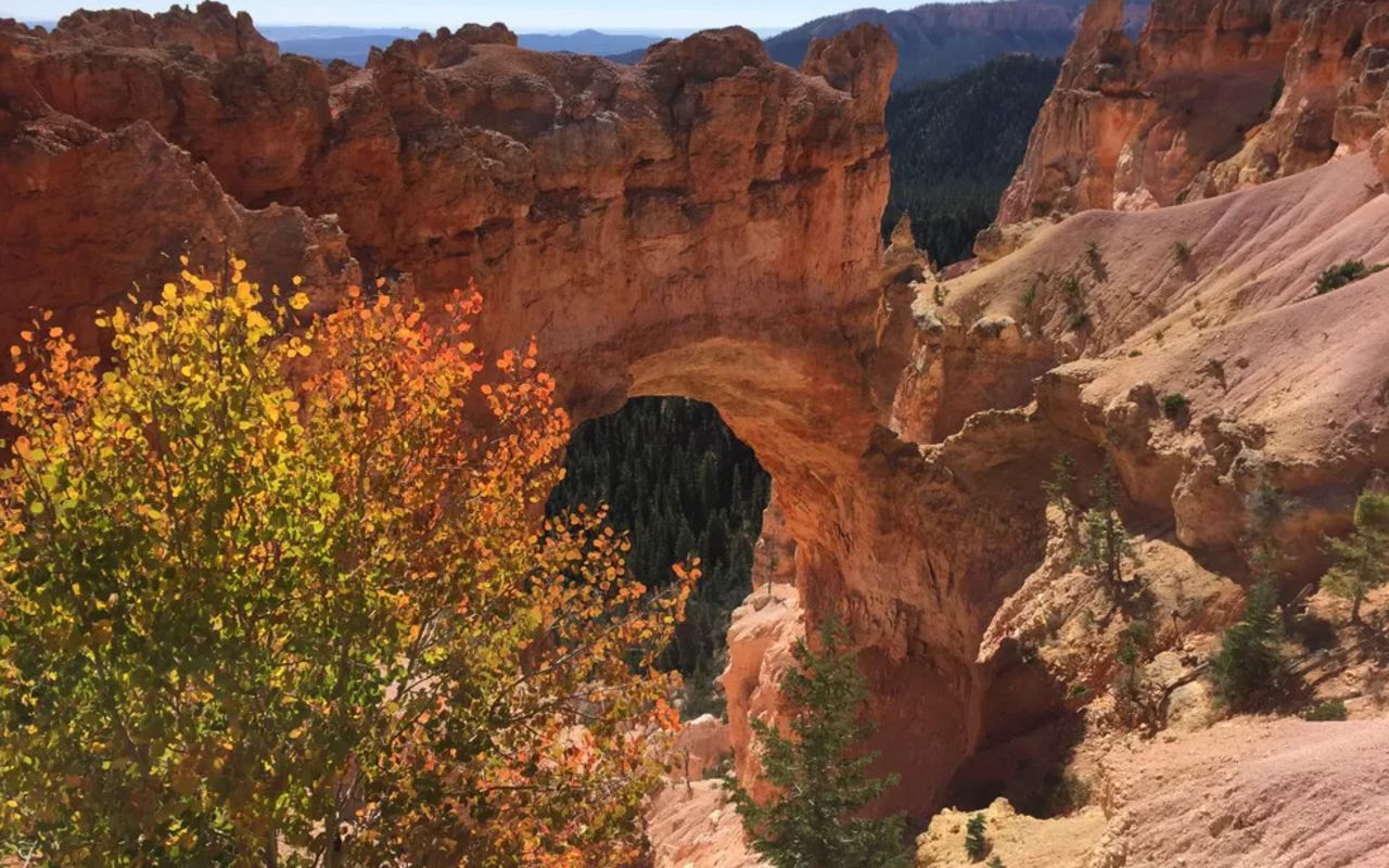 Canyon Fever Guides | Photo Gallery | 1 - Natural bridges in the fall.