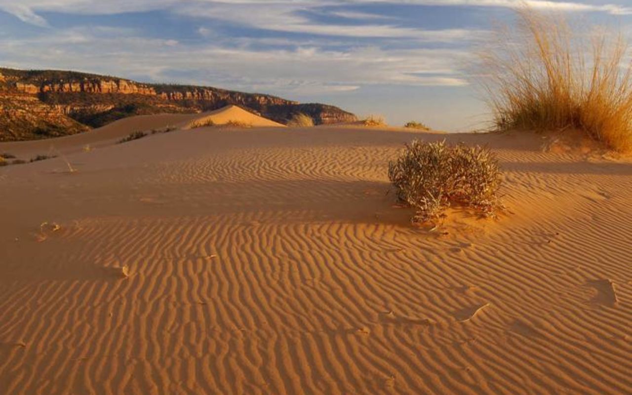 Coral Pink Sand Dunes | Photo Gallery | 1 - Coral Pink Sand Dunes State Park
