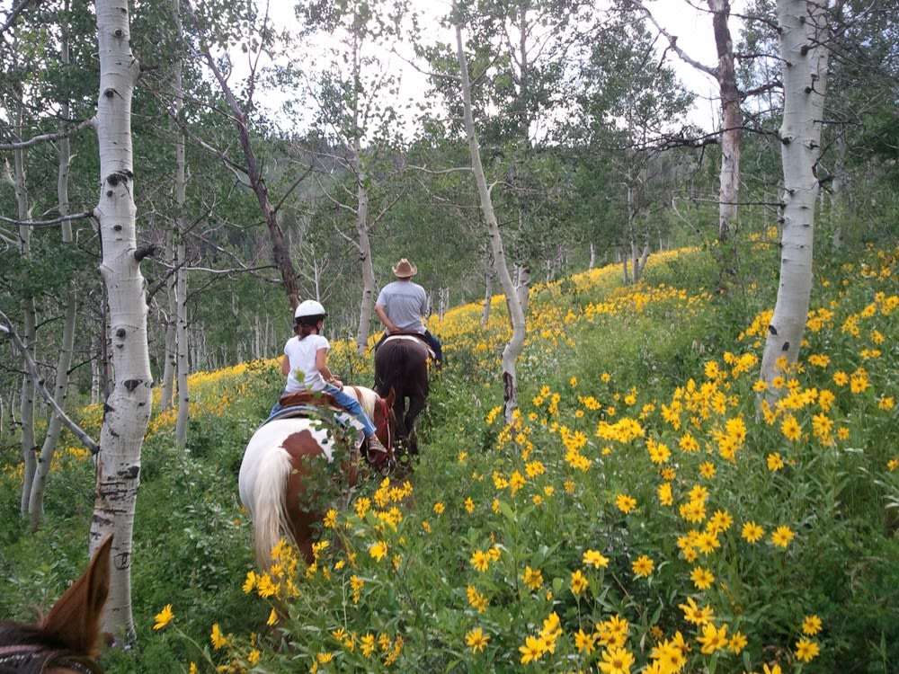Daniel's Summit Guides & Rentals | Photo Gallery | 3 - Horseback Riding Tours