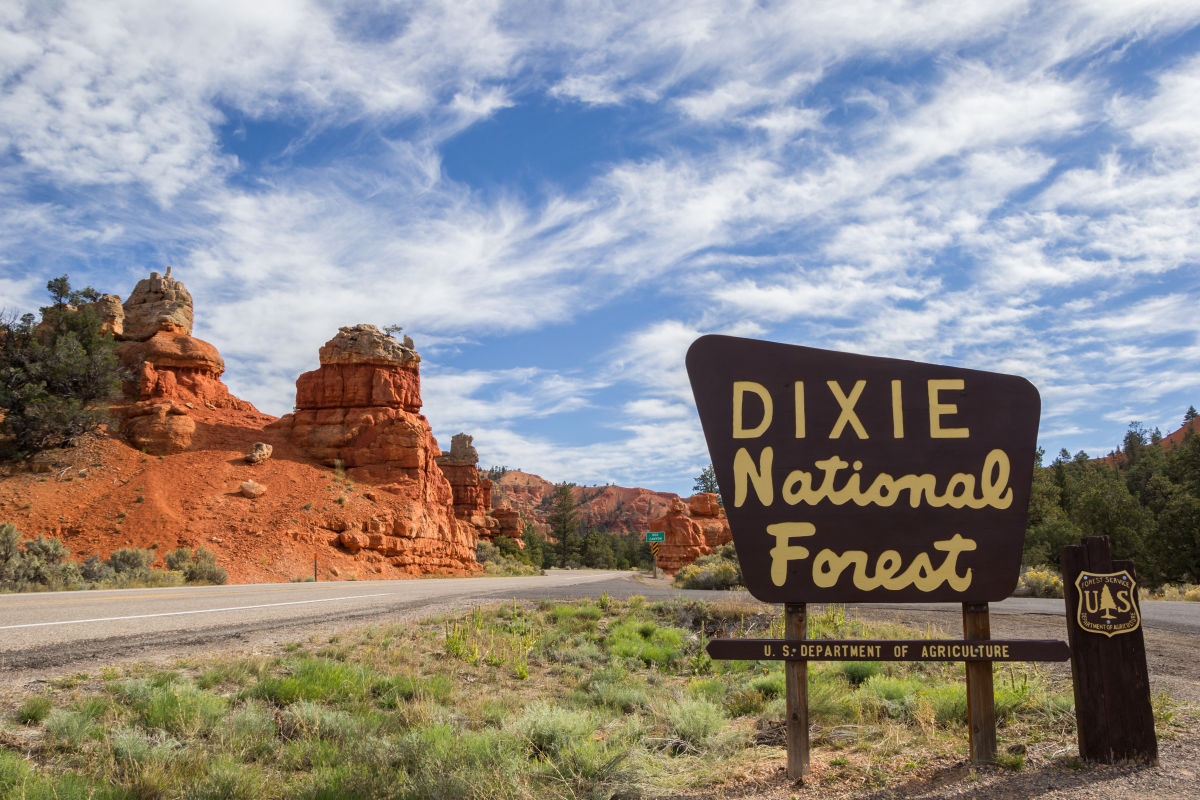Dixie National Forest | Photo Gallery | 0