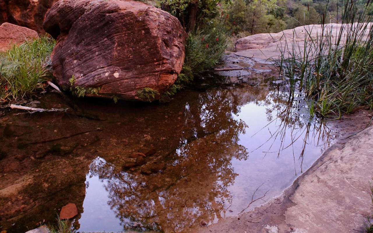 Guide to Zion National Park | Photo Gallery | 0 - View Along The Emerald Pools Trail