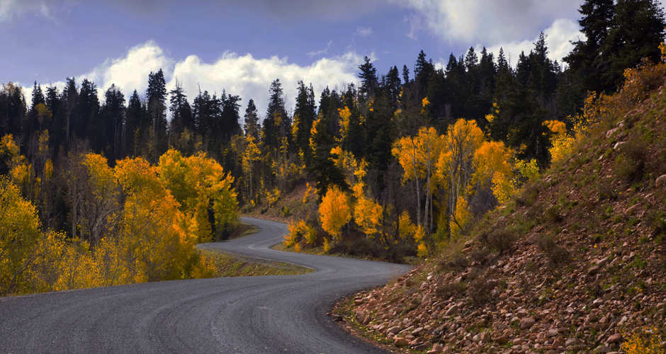 Mount Nebo Scenic Byway | Photo Gallery | 1 - Mount Nebo Scenic Loop with Fall Leaves
