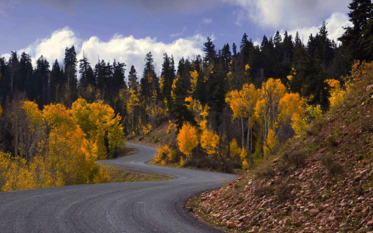 Mount Nebo Scenic Byway | Photo Gallery | 1 - Mount Nebo Scenic Loop with Fall Leaves