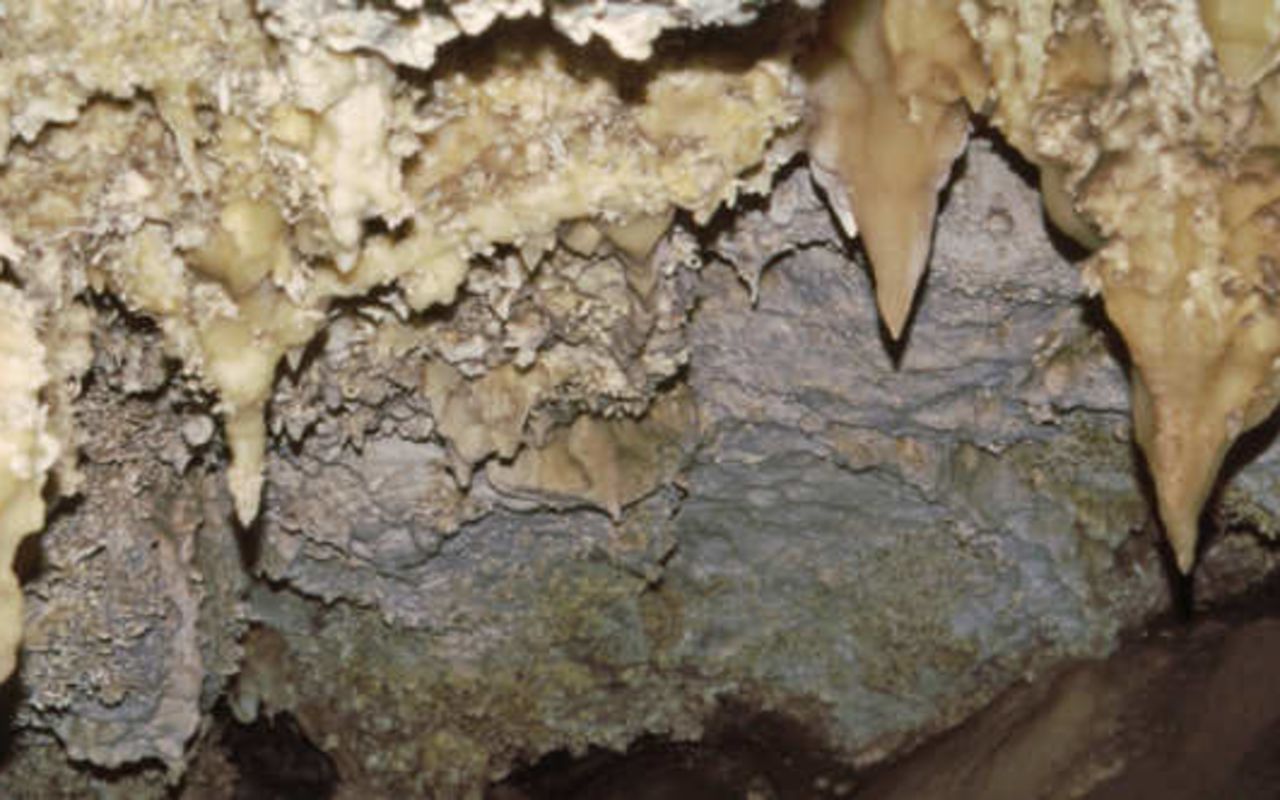 Timpanogos Cave Hike | Photo Gallery | 1 - Stalagmites in Timpanogos Caves