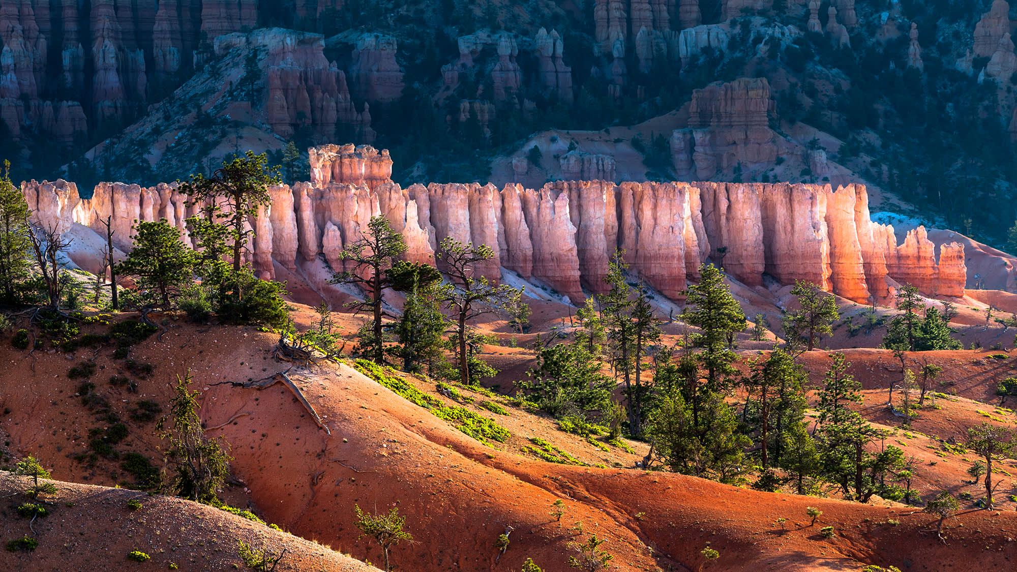 Top 5 Sights in Bryce Canyon