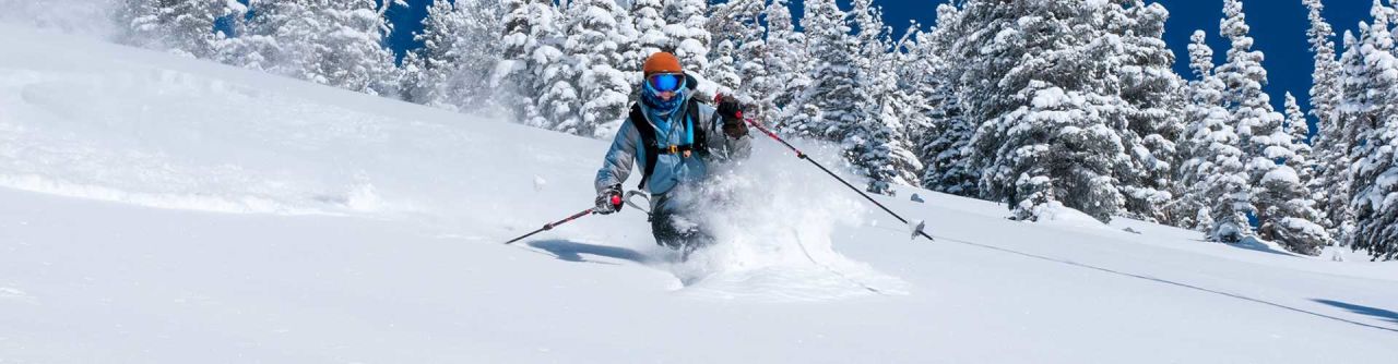 12 Must - Ski Runs in Salt Lake City | Photo Gallery | 1 - Skier in deep powder