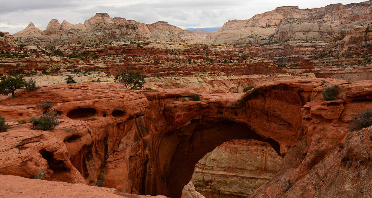 Cassidy Arch Trail | Photo Gallery | 0 - Cassidy Arch Trail