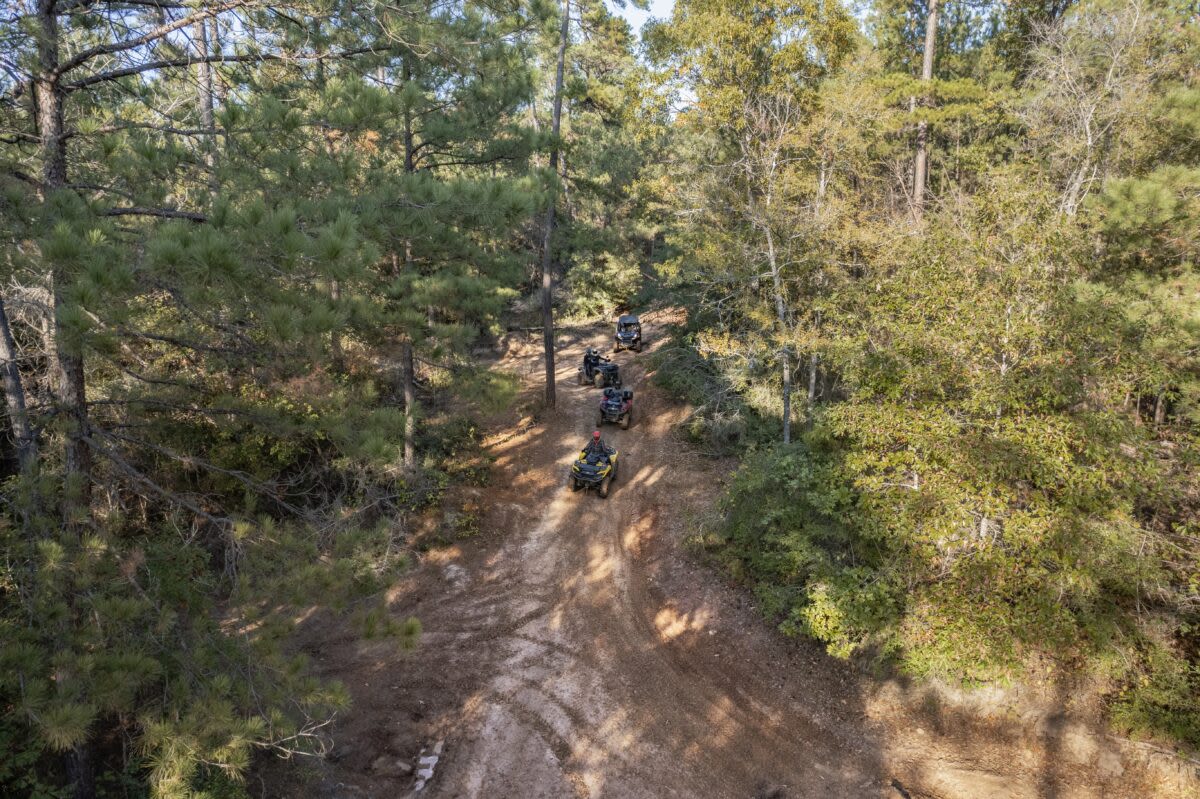 Their  ATV rentals are great for summer adventures on stunning local outdoor trails. 
