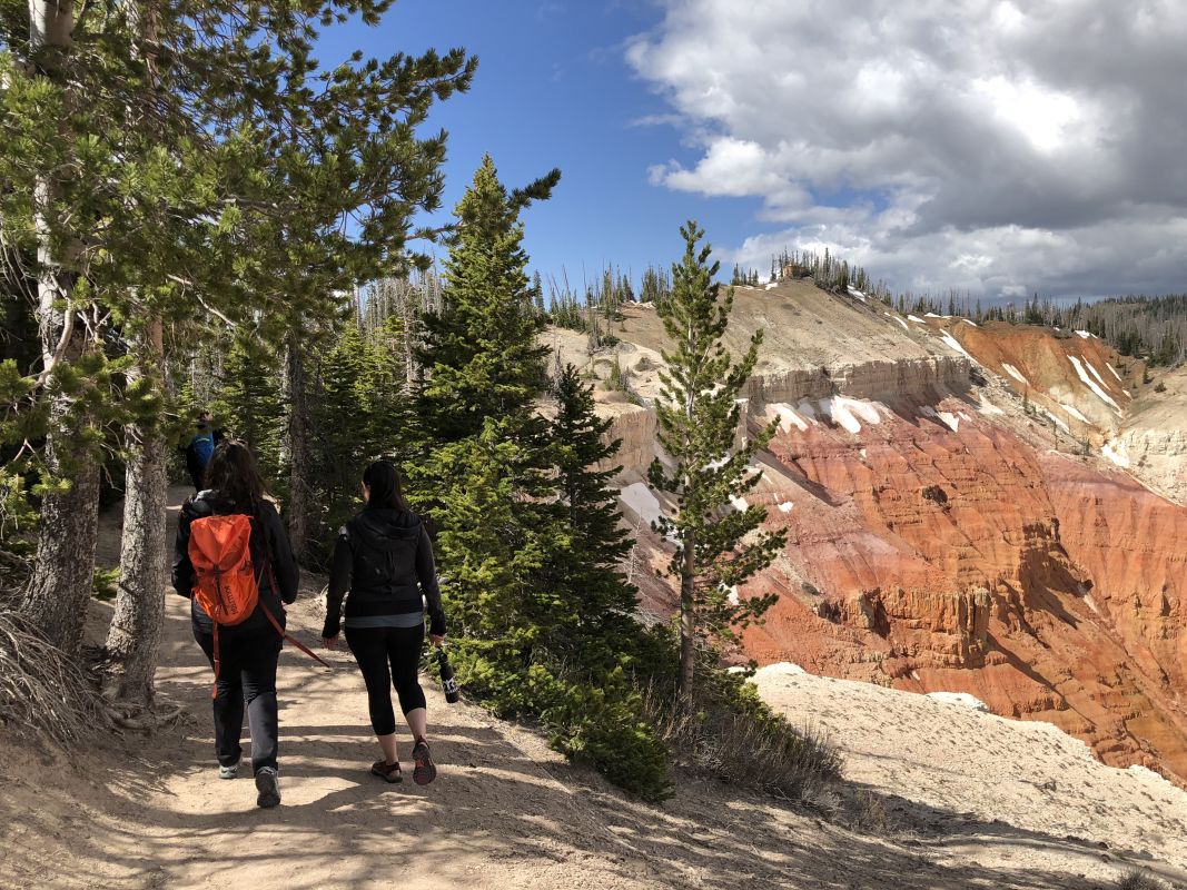 Cedar Breaks Scenic Drive | Photo Gallery | 0 -  Spectra Point is both pretty and short, like that other tart Tinkerbell. Located in Cedar Breaks National Monument, it's a high-elevation stroll to a magical overlook.