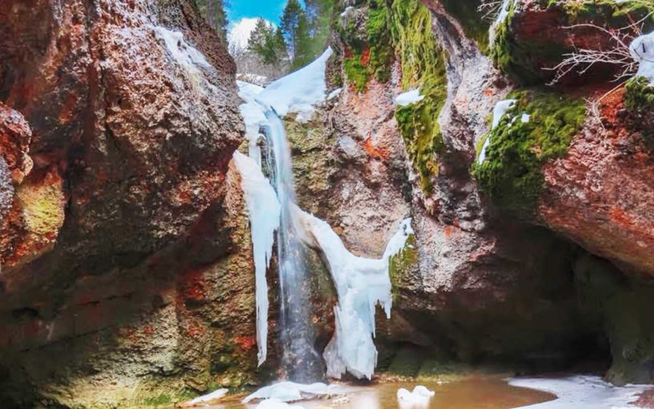 Grotto Falls | Photo Gallery | 0 - Grotto Falls