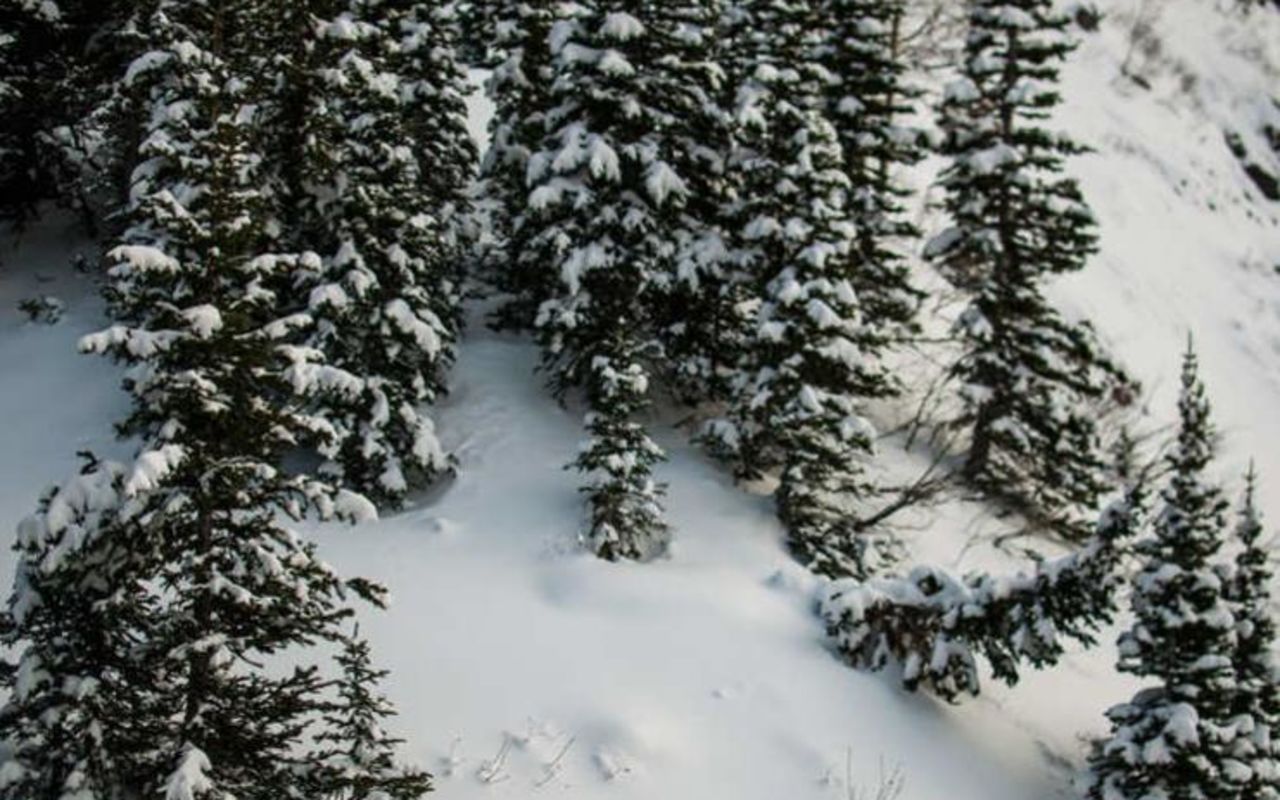 Cache Valley - Snowmobile | Photo Gallery | 1 - Snowshoeing in Utah