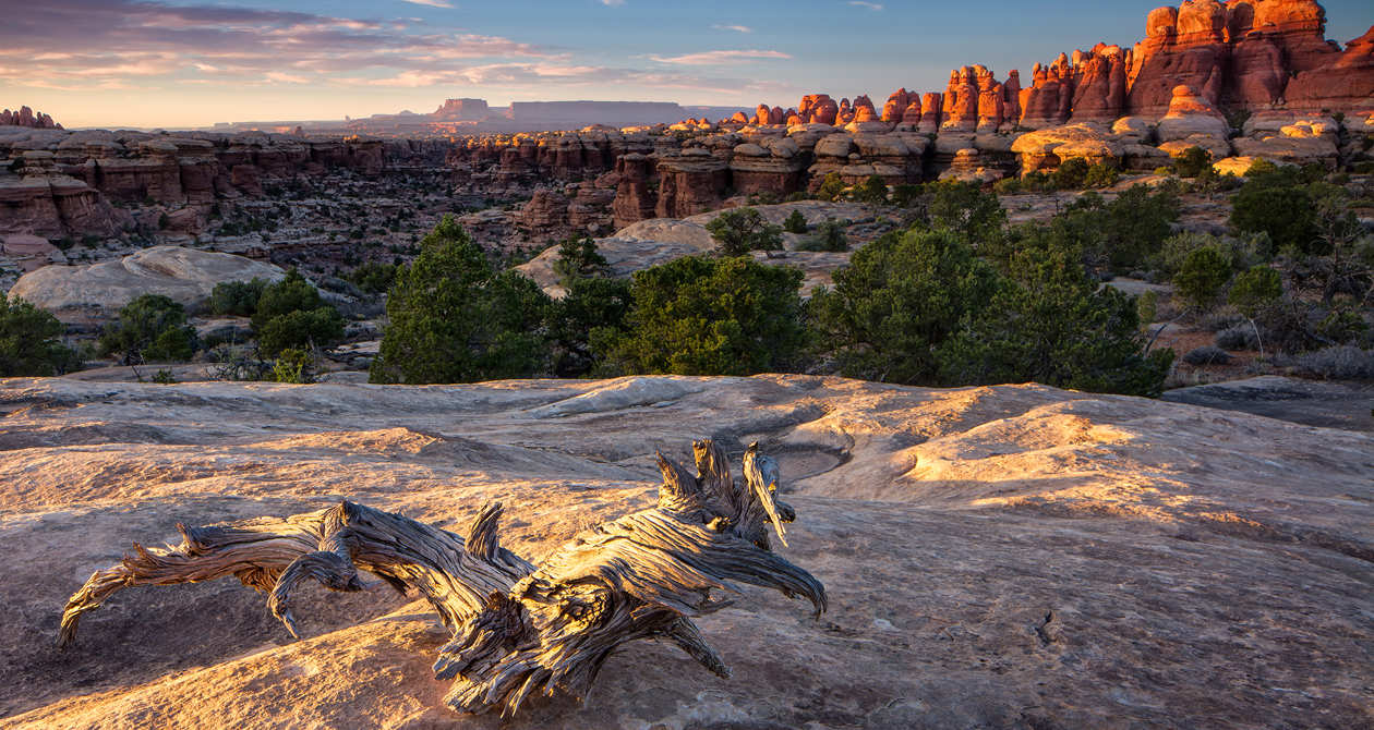 Lower Red Lake Canyon | Photo Gallery | 1 - Canyonlands Travel Guide