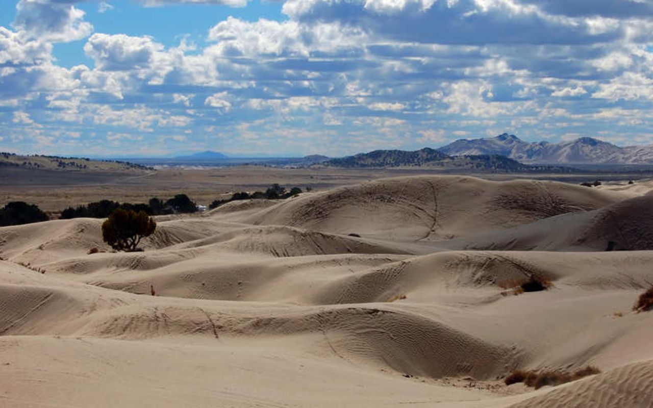 Little Sahara Sand Dunes | Photo Gallery | 1 - In Little Sahara Recreation Area, you will find free-moving sand dunes, including the 700-foot-tall Sand Mountain — shaped by southwesterly winds after Lake Bonneville receded.