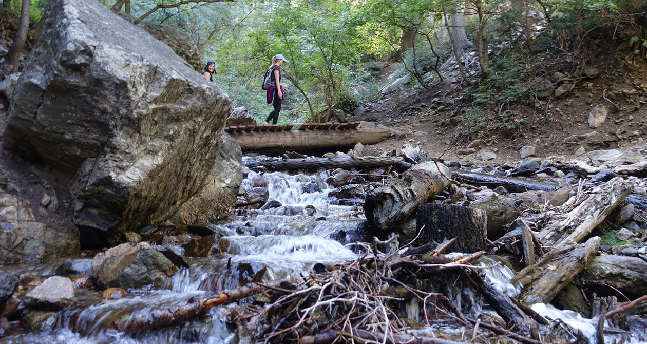 Adams Canyon | Photo Gallery | 1 - Adams Canyon Crossing a Stream