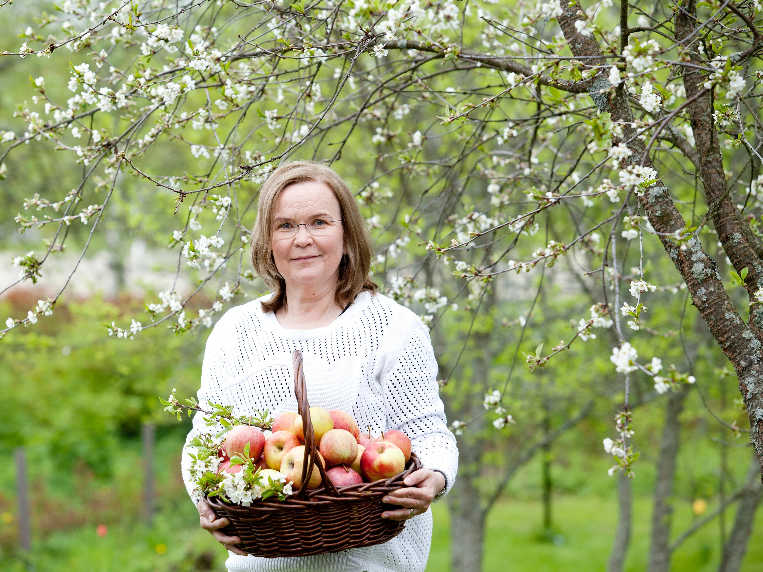Miten hyödyntää koko omenasato?