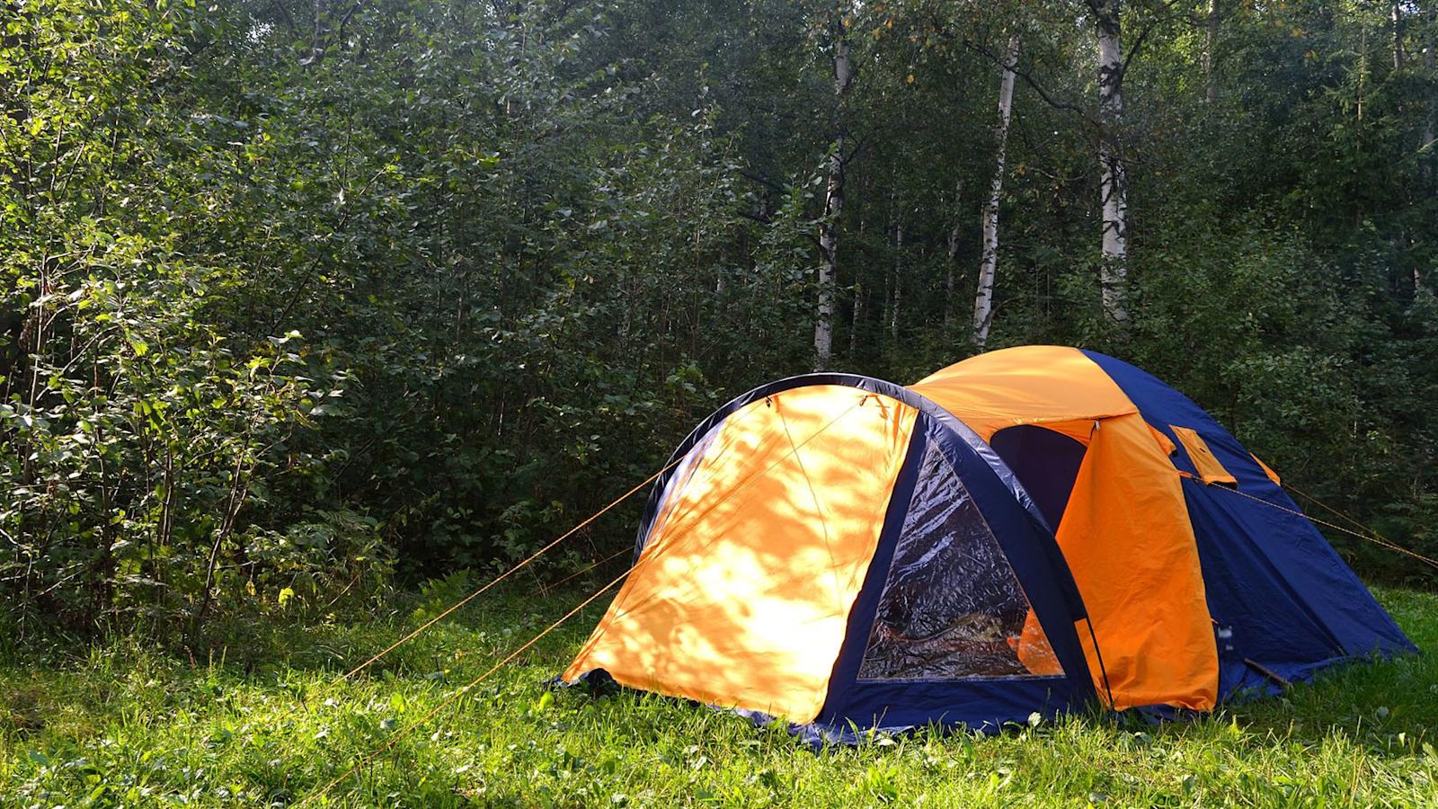 Teltta – ostajan opas